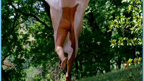 Pic: Nadia Cassini in Infermiera nella corsia dei militari