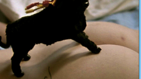 Pic: Julie Gayet in Select Hotel