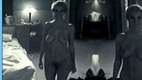 Pic: Sandrine Kiberlain in Les patriotes