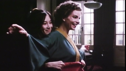 Pic: Gudrun Landgrebe in The Berlin Affair