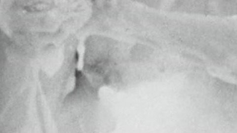 Pic: Barbara Steele in Terror-Creatures from the Grave