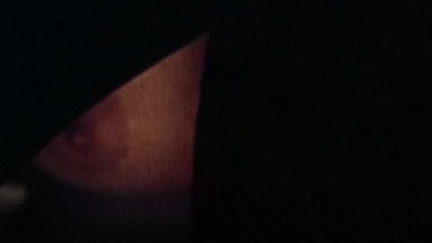 Pic: Charlie Spradling in Meridian