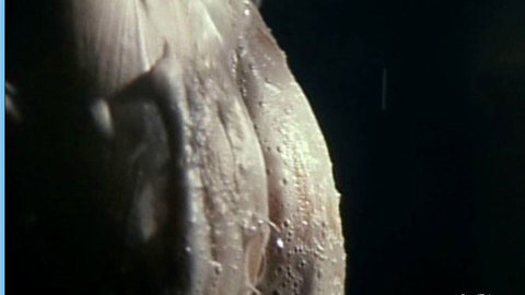 Pic: Vivian Hsu in Angel Hearts