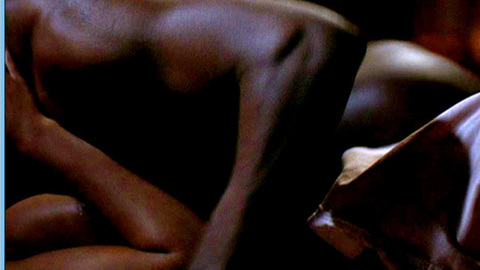 Pic: Sanaa Lathan in Disappearing Acts