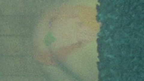 Pic: Bijou Phillips in Hostel: Part II