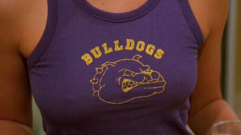 Pic: Brittany Daniel in That '70s Show