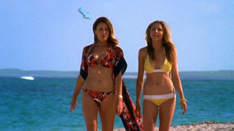 Pic: Christa Miller in Scrubs