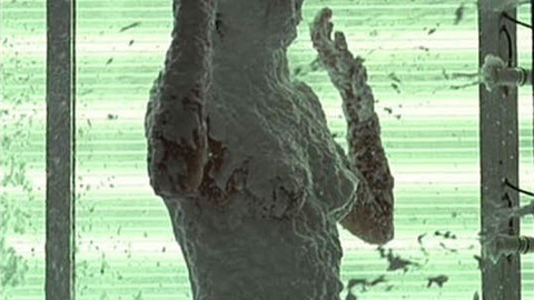 Pic: Christa Miller in The Andromeda Strain null