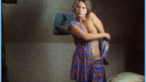 Pic: Ricky Koole in The Dress