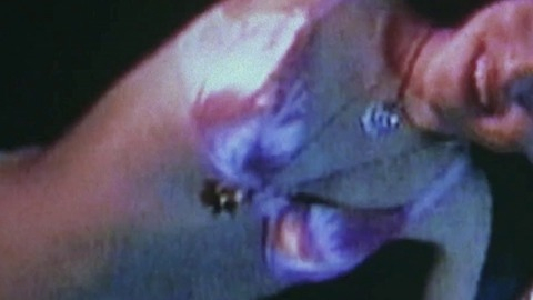 Pic: Erica Leerhsen in Book of Shadows: Blair Witch 2