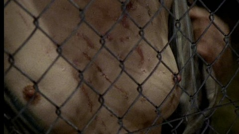 Pic: Amira Casar in 40