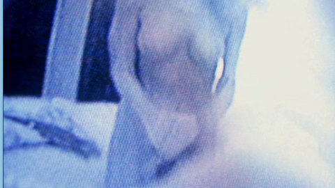 Pic: Heidi Mark in Weapons of Mass Distraction