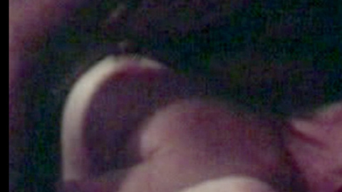 Pic: Marisa Mell in Death Will Have Your Eyes