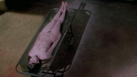 Pic: Samantha Phillips in Phantasm II