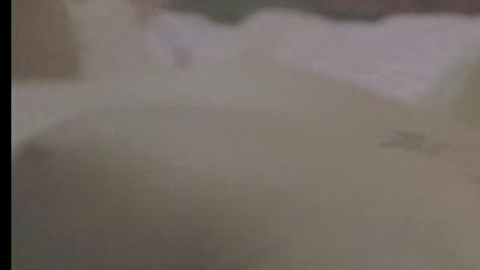 Pic: Rula Lenska in Oh, Alfie!