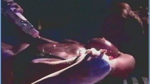 Pic: Amy Lynn Baxter in In the Flesh