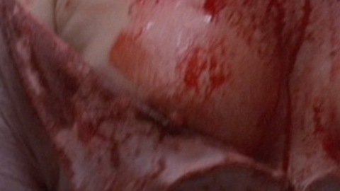 Pic: Susan Tyrrell in Butcher, Baker, Nightmare Maker