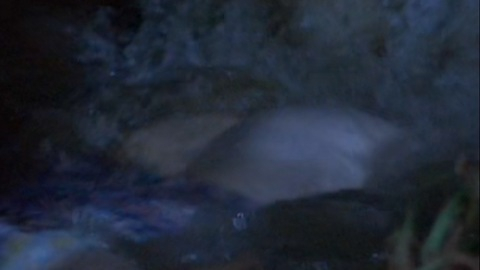 Pic: Susan Tyrrell in Butcher, Baker, Nightmare Maker