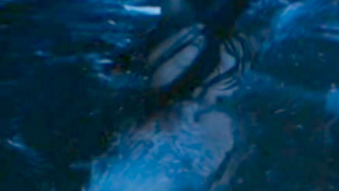 Pic: Lorissa McComas in Piranha
