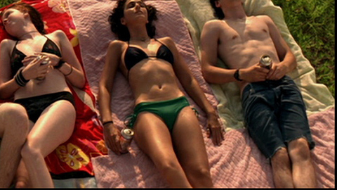 Pic: Emmanuelle Chriqui in Taking Chances