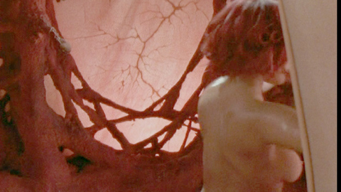 Pic: Xenia Seeberg in Lexx