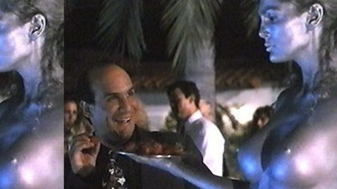 Pic: Julie Strain in Sunset Heat