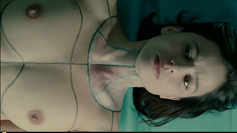 Pic: Elena Anaya in The Skin I Live In