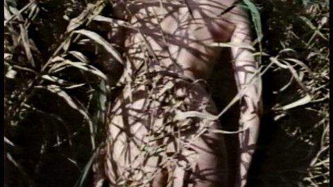 Pic: Ingrid Steeger in The Sex Adventures of the Three Musketeers