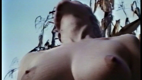 Pic: Ingrid Steeger in The Sex Adventures of the Three Musketeers