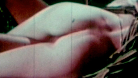 Pic: Ingrid Steeger in Salon Massage