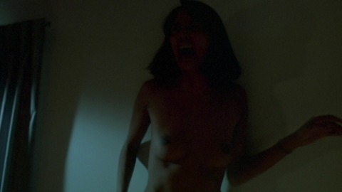 Pic: Laura Gemser in Metamorphosis