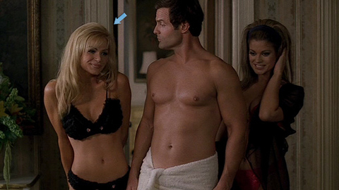 Pic: Nikki Ziering in Return To The Batcave (2003)