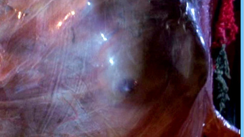 Pic: Linnea Quigley in A Nightmare on Elm Street 4