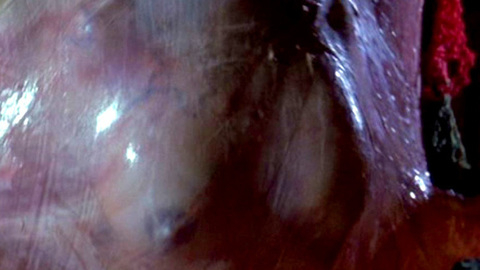 Pic: Linnea Quigley in A Nightmare on Elm Street 4