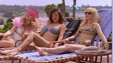 Pic: Linnea Quigley in Heavy Petting Detective