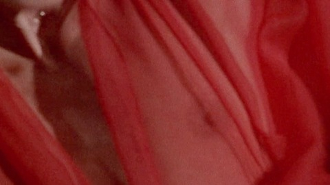 Pic: Anitra Ford in The Longest Yard