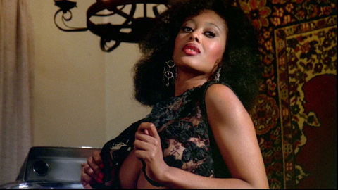 Pic: Marilyn Joi in The Kentucky Fried Movie