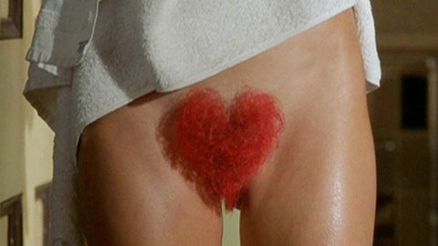 Pic: Heidi Klum in Blow Dry (2001)