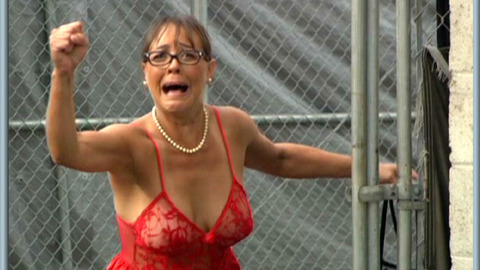Pic: Michelle Bauer in The Erotic Escort Company