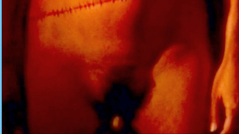 Pic: Michelle Bauer in Lust for Frankenstein