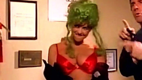 Pic: Julia Parton in Vice Academy 4 (1995)