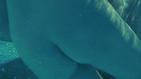 Pic: Anna Galiena in Black Angel (2002)