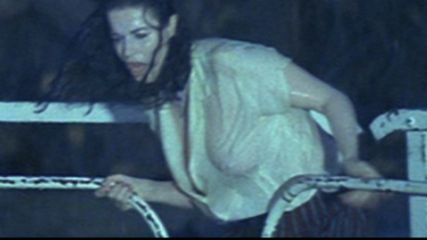Pic: Anna Galiena in The Hairdresser's Husband (1990)