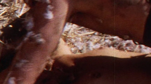 Pic: Lucretia Love in The Arena