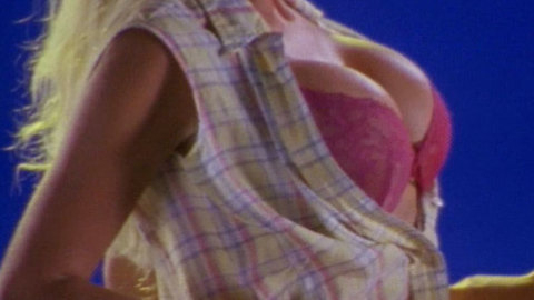 Pic: Victoria Silvstedt in Son of the Beach (2000-2002)