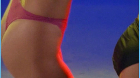 Pic: Victoria Silvstedt in Son of the Beach