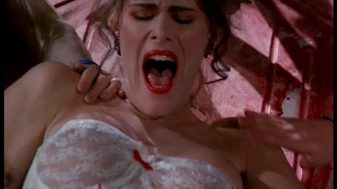 Pic: Robyn Kelly in Flesh Gordon Meets the Cosmic Cheerleaders