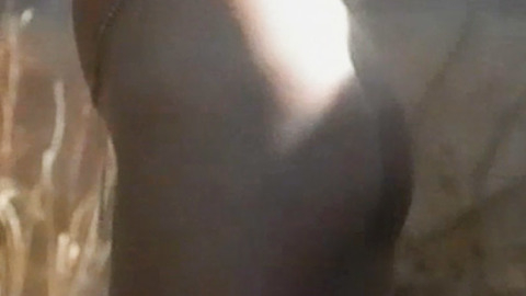 Pic: Samantha Fox in Samantha Fox: Calendar Girl