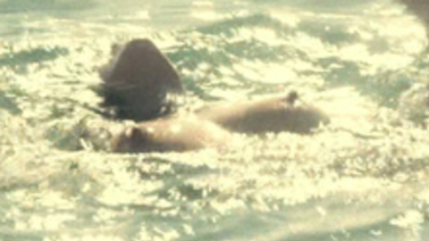 Pic: Marion Cotillard in Rust and Bone