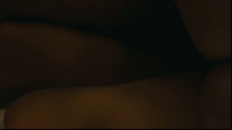 Pic: Marion Cotillard in Rust and Bone